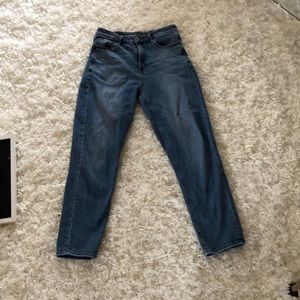 American Eagle High Rise Mom Jean